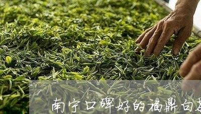 南宁口碑好的福鼎白茶招商/2023040212815