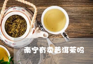 南宁有卖普洱茶吗/2023040174269