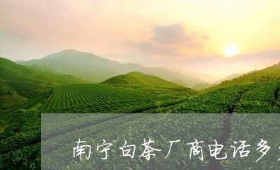 南宁白茶厂商电话多少号码/2023040203614