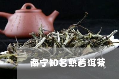 南宁知名熟普洱茶/2023041067268