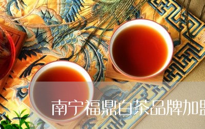 南宁福鼎白茶品牌加盟代理/2023040251482