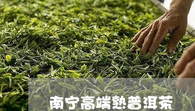 南宁高端熟普洱茶/2023031651693