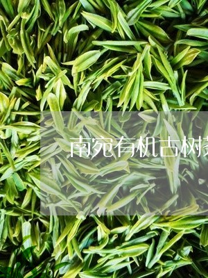 南宛有机古树茶白茶/2023032198505