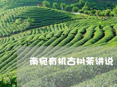 南宛有机古树茶讲说/2023032283825