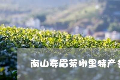 南山寿眉茶哪里特产多一点/2023040203697