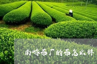 南峤茶厂的茶怎么样/2023041650615