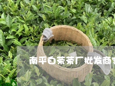 南平白茶茶厂批发商家电话/2023040210571