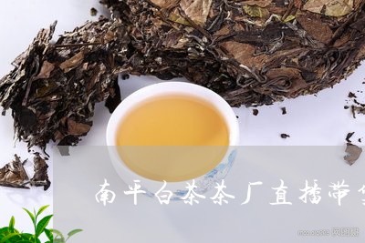 南平白茶茶厂直播带货主播/2023040275039