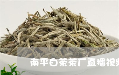 南平白茶茶厂直播视频播放/2023040270592