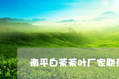 南平白茶茶叶厂家联系方式/2023040290513