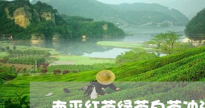 南平红茶绿茶白茶冲泡方法/2023040227272