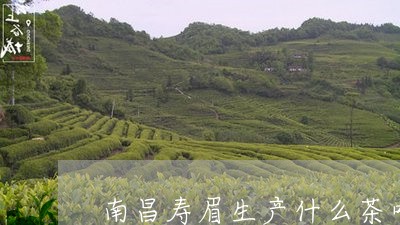 南昌寿眉生产什么茶叶品牌/2023040238471