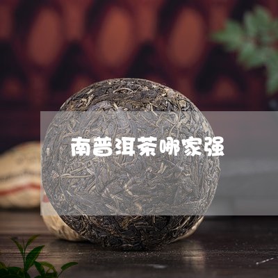 南普洱茶哪家强/2023040929470