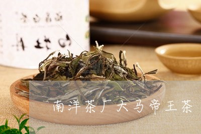 南洋茶厂大马帝王茶/2023041674835