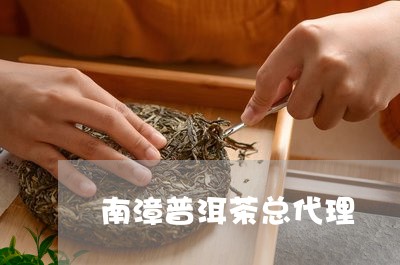 南漳普洱茶总代理/2023033087269