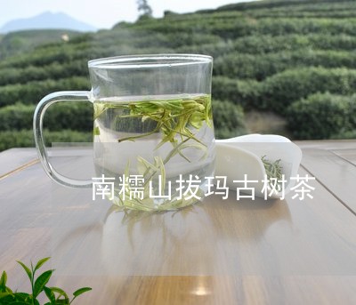 南糯山拔玛古树茶/2023032685147