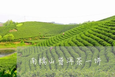 南糯山普洱茶一饼/2023033101584