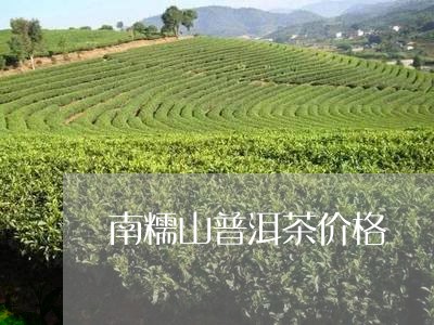 南糯山普洱茶价格/2023041498372