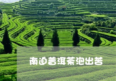 南迫普洱茶泡出苦/2023033046375