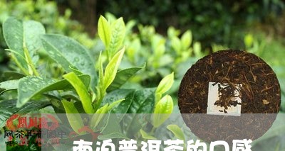 南迫普洱茶的口感/2023040110796