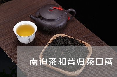 南迫茶和昔归茶口感/2023032230483