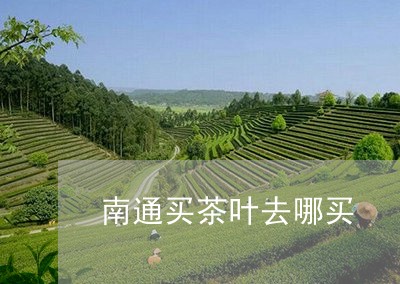 南通买茶叶去哪买/2023032545847