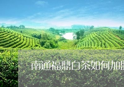 南通福鼎白茶如何加盟品牌/2023040282814