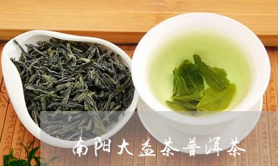 南阳大益茶普洱茶/2023041162725