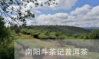 南阳斗茶记普洱茶/2023031695158