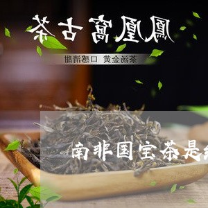 南非国宝茶是红茶吗/2023041505937