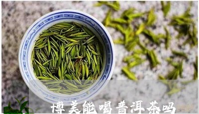 博美能喝普洱茶吗/2023041307571