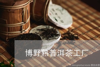 博野熟普洱茶工厂/2023041018350