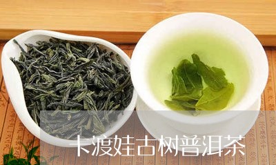 卡渡娃古树普洱茶/2023033097369