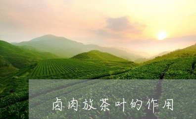 卤肉放茶叶的作用/2023032544047