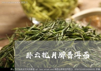 卧云枕月牌普洱茶/2023033002695