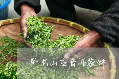 卧龙山庄普洱茶饼/2023031607139