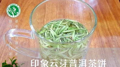 印象云芽普洱茶饼/2023040174040