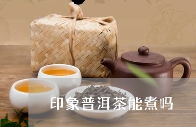 印象普洱茶能煮吗/2023040178371