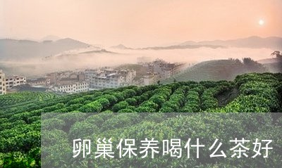 卵巢保养喝什么茶好/2023031907949