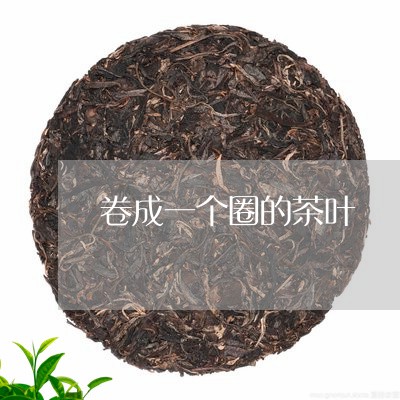 卷成一个圈的茶叶/2023032646370