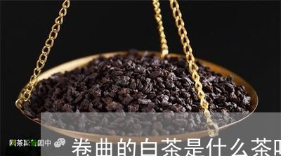 卷曲的白茶是什么茶叶做的/2023040240494