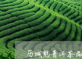 历城熟普洱茶品牌/2023033174947