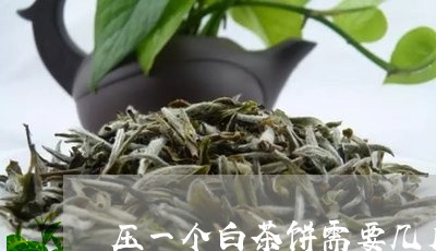 压一个白茶饼需要几斤散茶/2023040284930