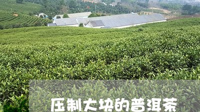 压制大块的普洱茶/2023031736494