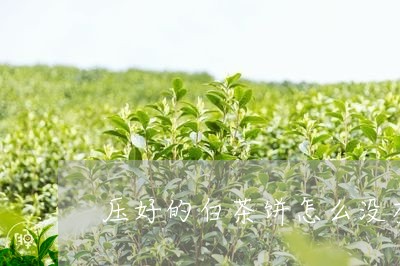 压好的白茶饼怎么没有散茶/2023040269495