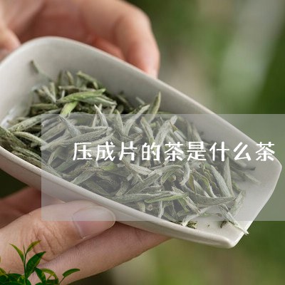 压成片的茶是什么茶/2023041537380