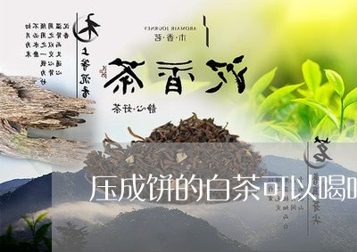 压成饼的白茶可以喝吗百度/2023040141594