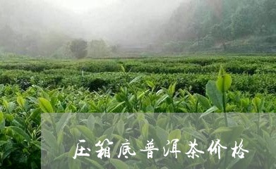 压箱底普洱茶价格/2023031785835