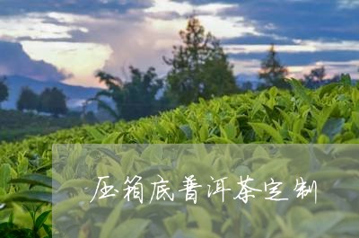 压箱底普洱茶定制/2023031658693