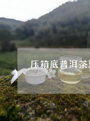 压箱底普洱茶漳州/2023041252726